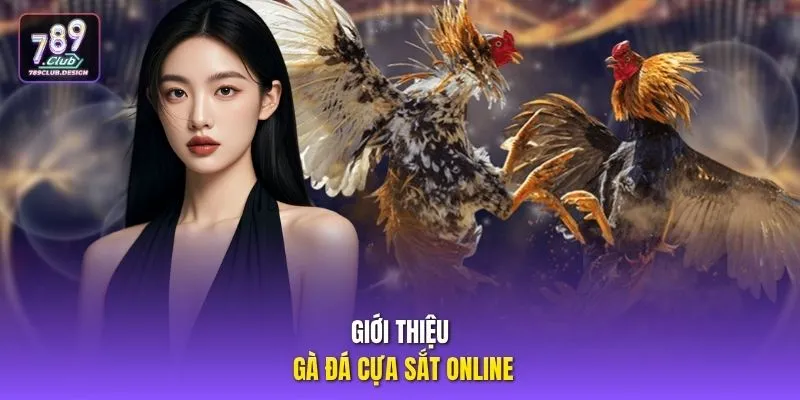 Giới thiệu gà đá cựa sắt online